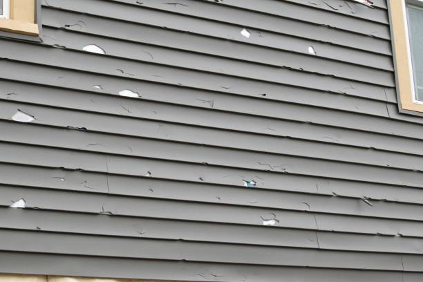 Best Hoarding Cleanup  in Meadow Vale, KY