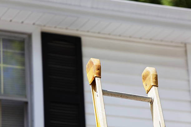 Trusted Meadow Vale, KY Junk Removal Experts